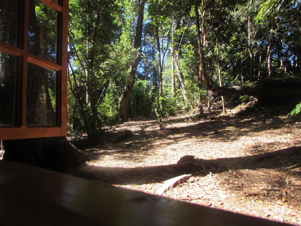 Cabana Rustica Patagonia Chilena กอญญารีเป ห้อง รูปภาพ