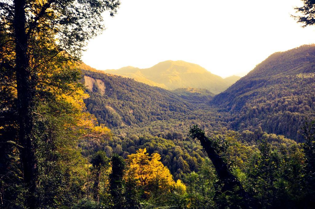 Cabana Rustica Patagonia Chilena กอญญารีเป ภายนอก รูปภาพ